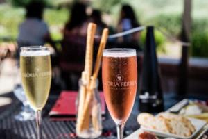 利物浦再胜！红军闯进欧洲精英级联赛