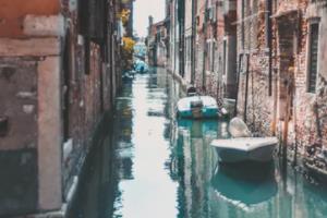 里昂球员轰入制胜球，帮助球队实现大逆转