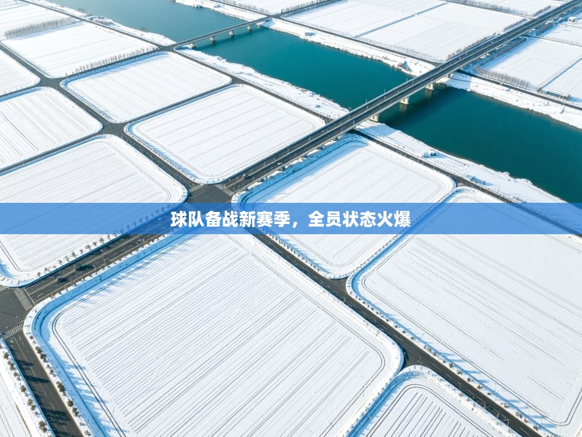 球队备战新赛季，全员状态火爆