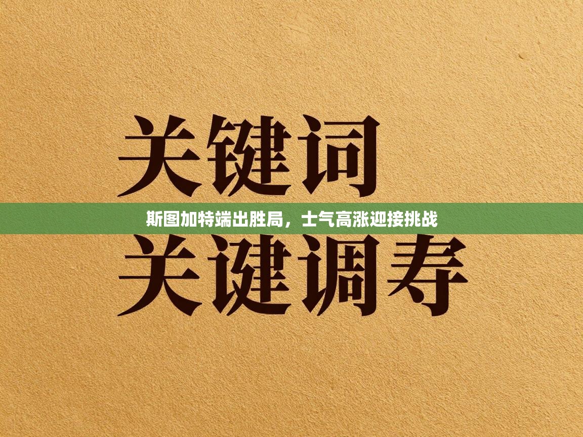 斯图加特端出胜局,士气高涨迎接挑战 第2张